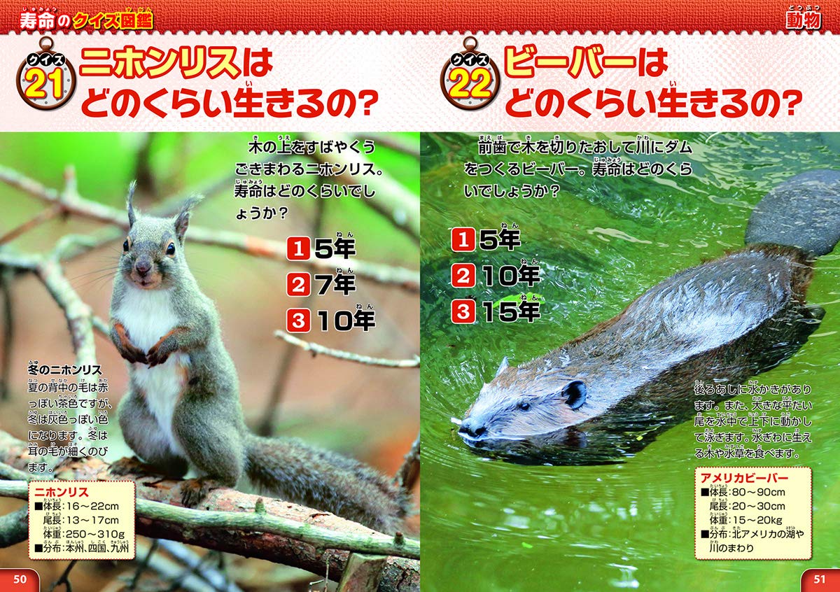寿命のクイズ図鑑 学研のクイズ図鑑 輝之 小宮 本 通販 Amazon