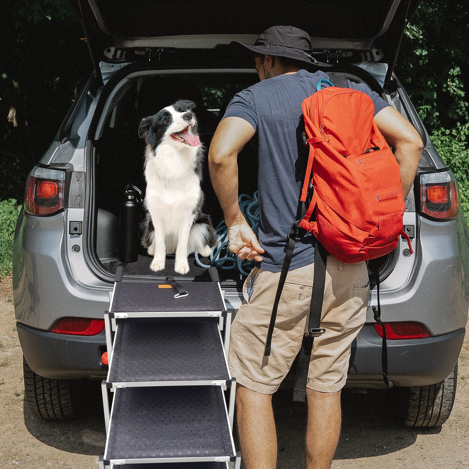 Amazon | Ulable ペットステップ 犬用踏み台 ペット階段 犬ステップ 車