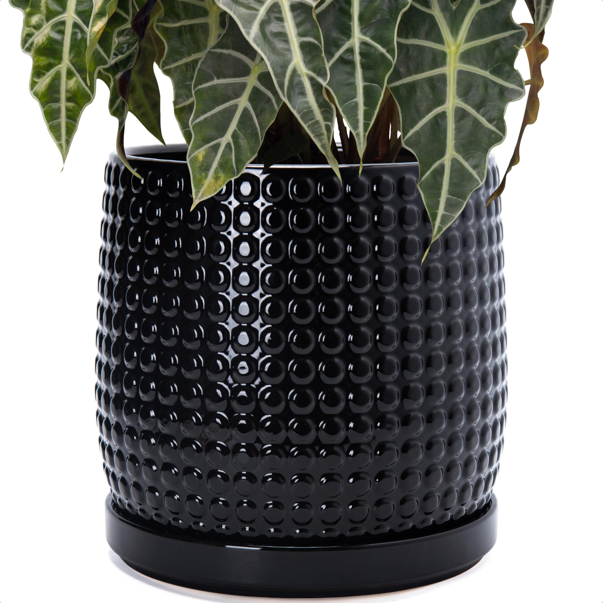Pot de fleurs en céramique noir brillant avec évacuation d'eau