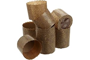 25 Mini Panettone Molds for Your Next Holiday Treat