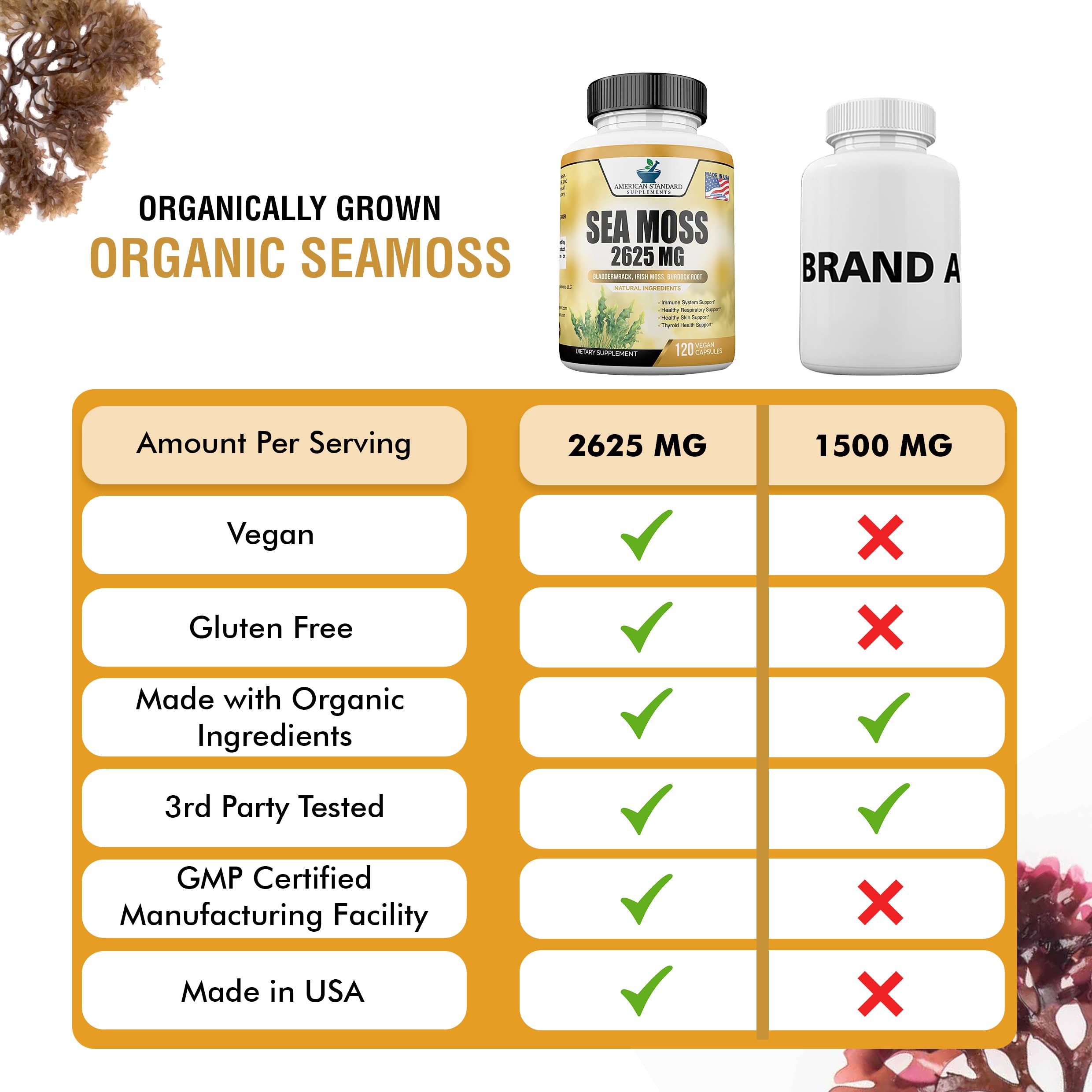 Buy Organic Sea Moss 2625mg, Seamoss, Hand Harvested, Irish Moss