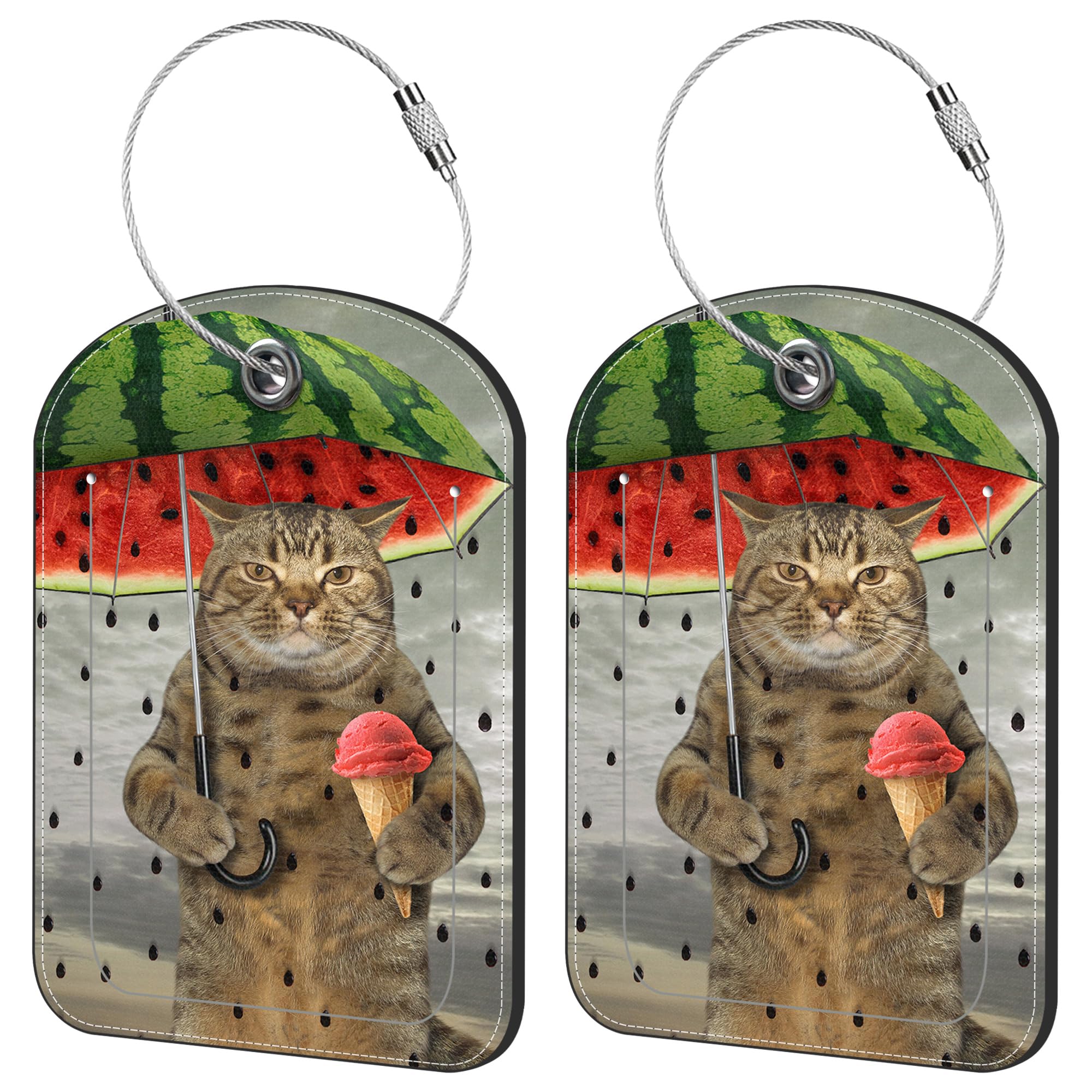 iapodiad 2 Pack Cute Luggage Tag for Suitcases Cute Cat and Umbrella Leather Luggage Tags with Stainless Steel Loop Privacy Flap Name Tags,Men and