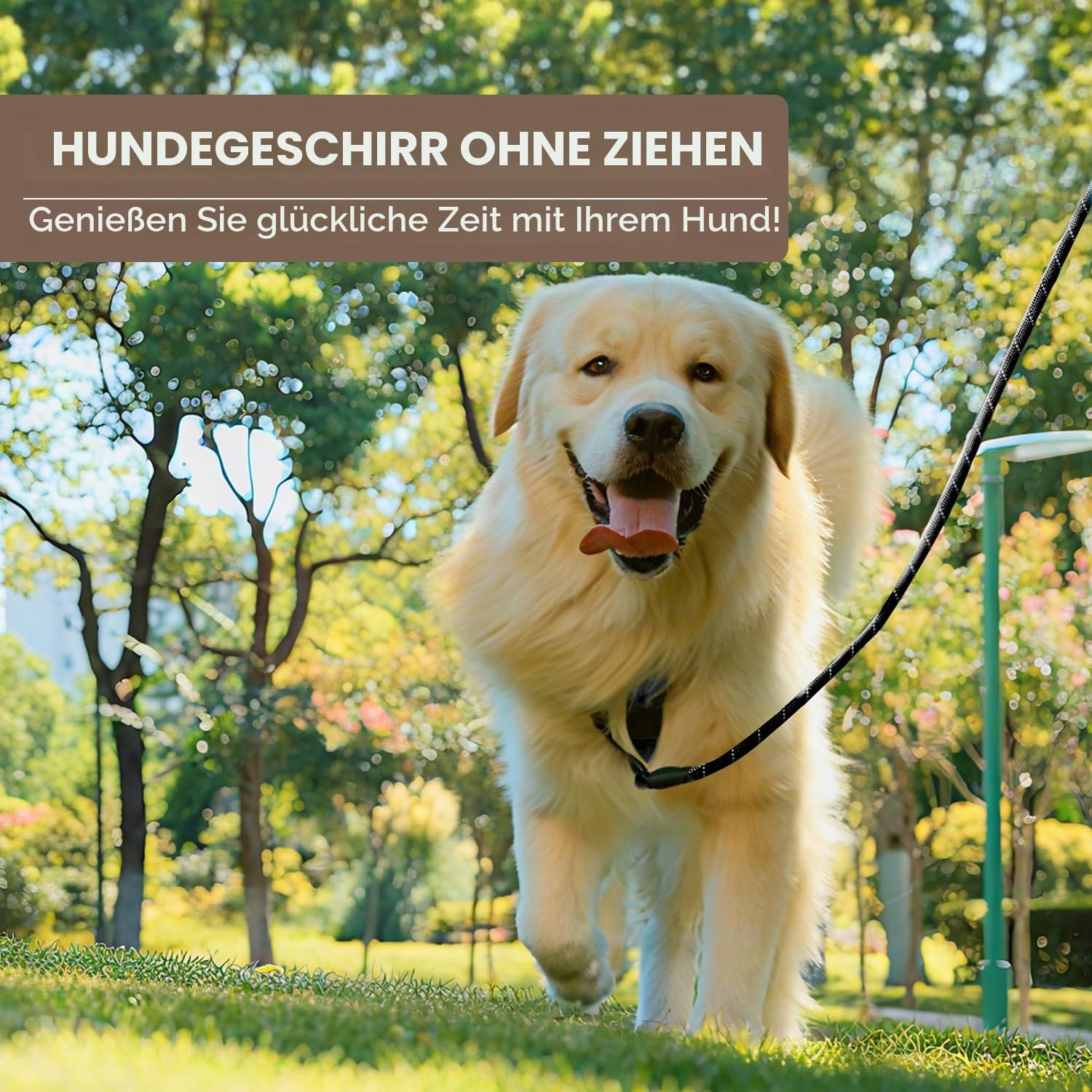 FURRYFECTION Hundegeschirr mittelgroße Hunde, Geschirr Hund ausbruchsicher Antizuggeschirr ohne Zug, Brustgeschirr Dog Harness verstellebare Oxford Medium Hundegeschirre mit Leine | Verstellbare reflektierende Haustierweste, 4 Riemen, gepolsterter Griff u