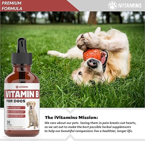 Miniatura 8 de Vitamina B para perros  Complejo de vitamina B para perros  Vitamina B12 para perros  Vitaminas para perros  Vitaminas B12 para perros  Suplementos