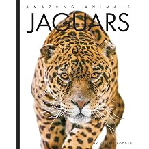 Jaguars Amazing Animals