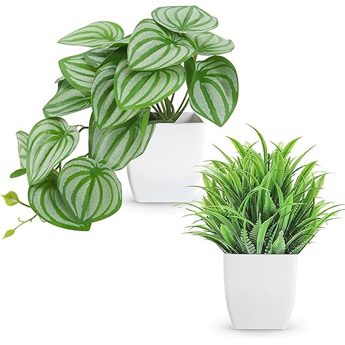 Der Rose Set of 2 Artificial Small Fake Plants for Home Living Room Bathroom Office Decor Aesthetic Indoor
