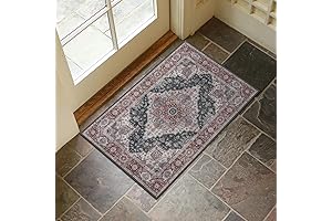 Collive 20 x 34 Washable Indoor Doormat
