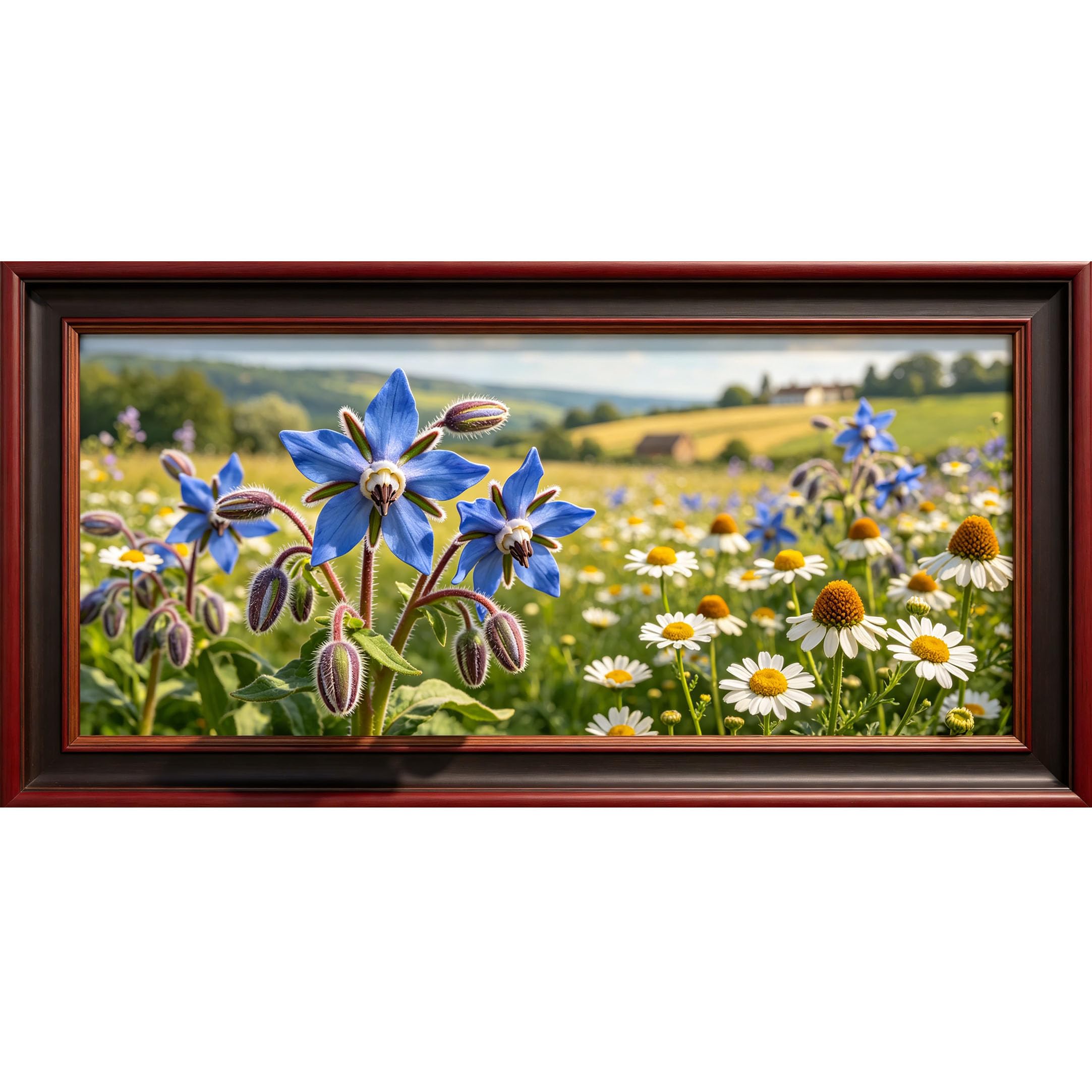 Agglomerix 3D Framed Wall Art Blue Borage Daisy Meadow Landscape Botanical Natural Light Large Size Self-Adhesive Removable Wall Decor Prints Artwork for Living Room Bedroom Office