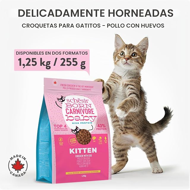 Foto 5 de 7 de Schesir Born Carnivore Baby, con Sabor a Pollo y Huevo, croquetas para Gatitos