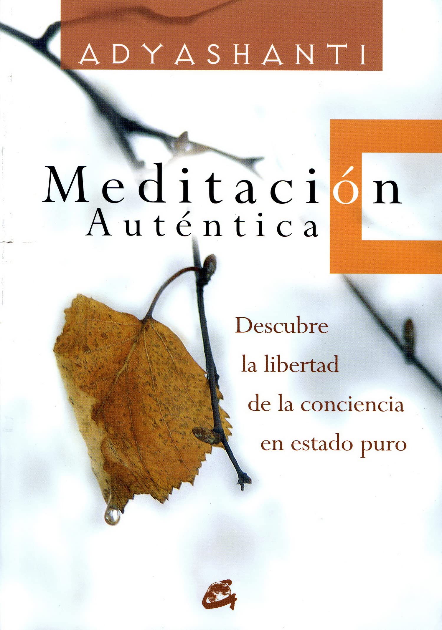 Meditación Auténtica: Descubre La Libertad de La Conciencia En Estado Puro