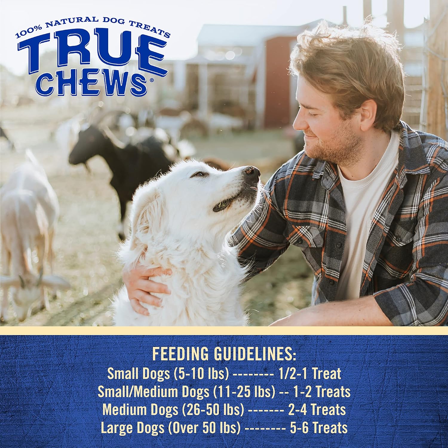 True Chews Beef & Prime Rib Recipe 10 oz