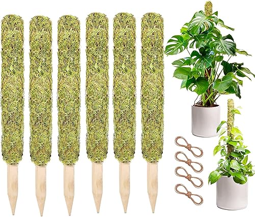 Poste de musgo para plantas Monstera, soporte extensible de varillas de escalada para plantas, estacas para plantas en maceta de interior, poste de