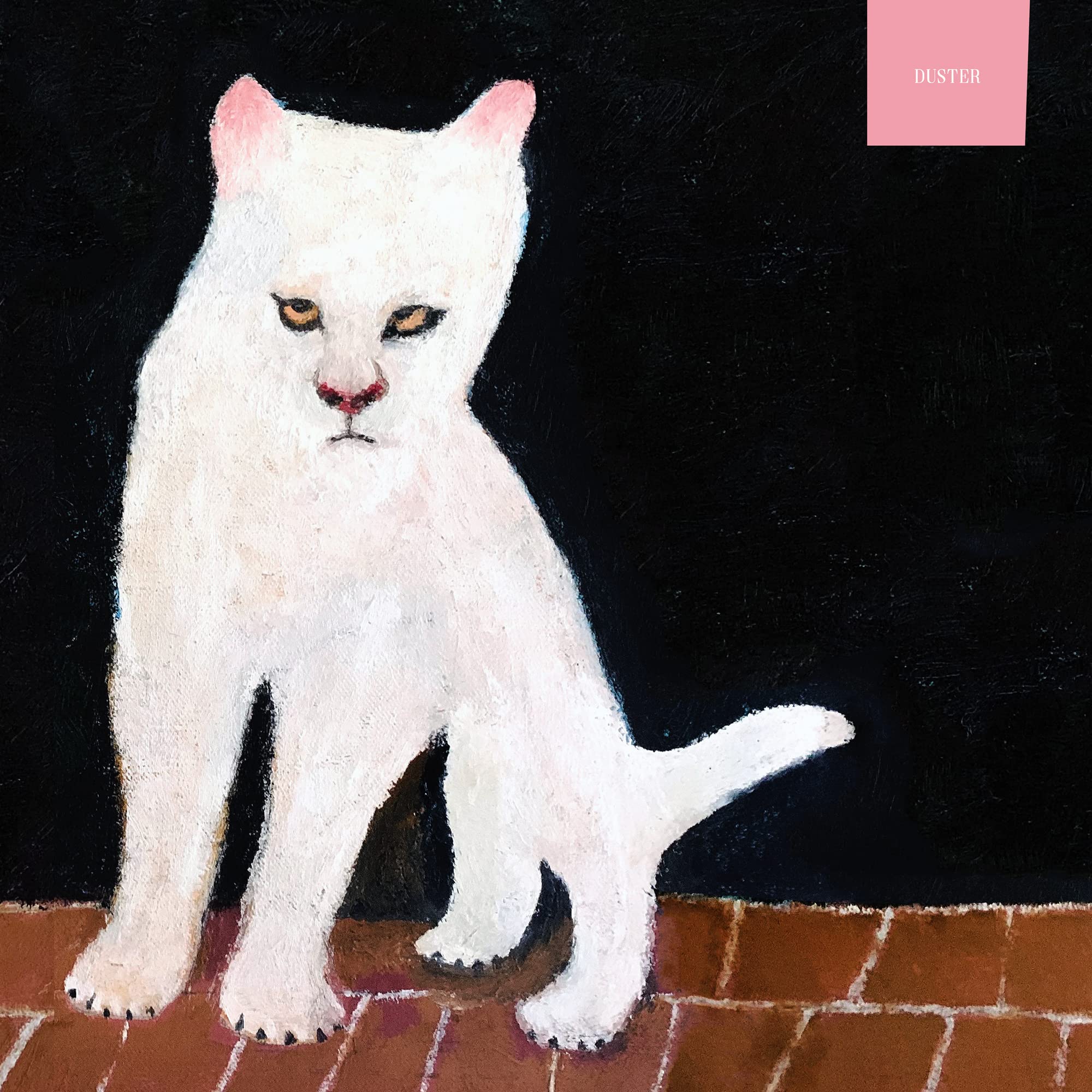 DUSTER [VINYL]