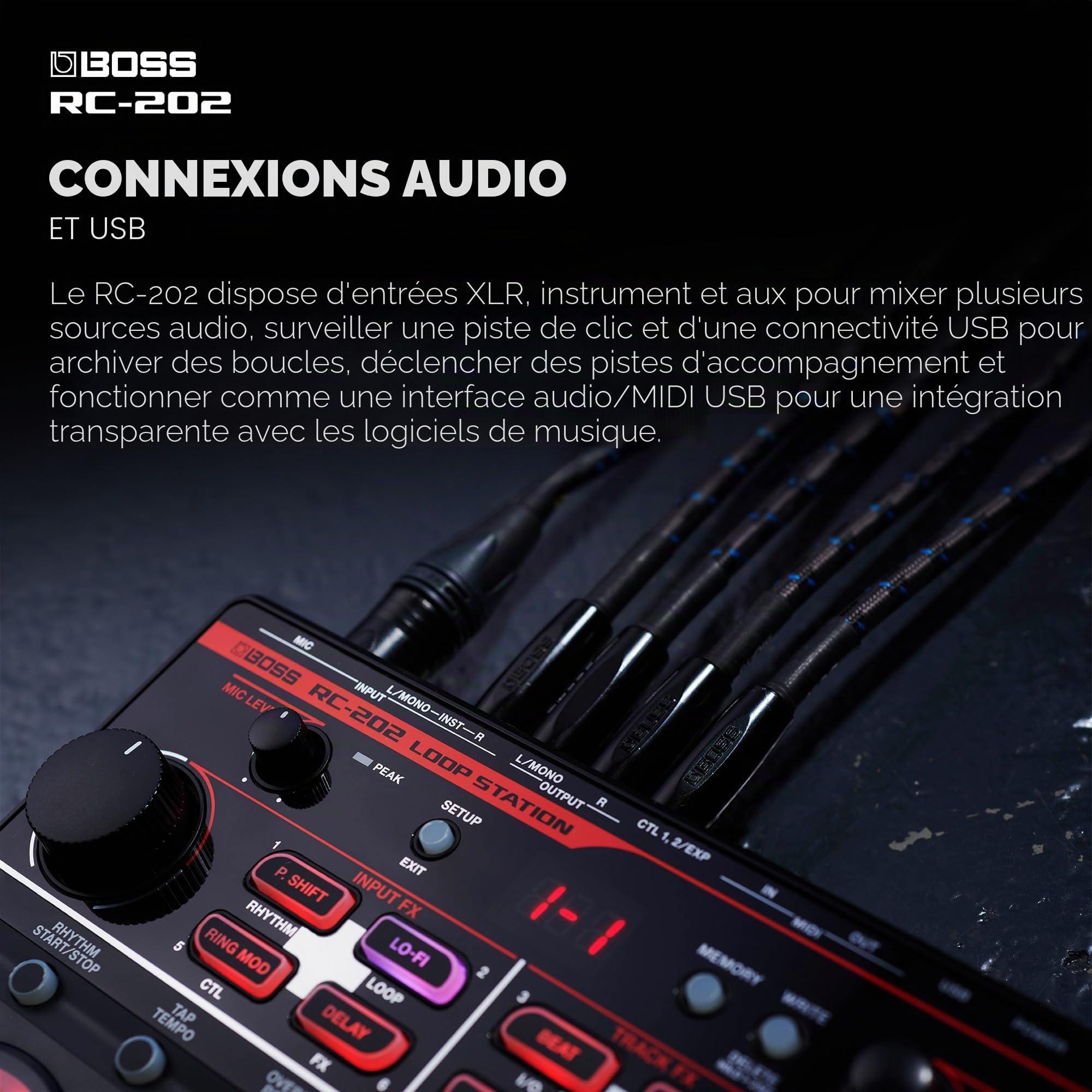 BOSS Station de Boucle compacte à Deux Voies RC-202 (RC-202)