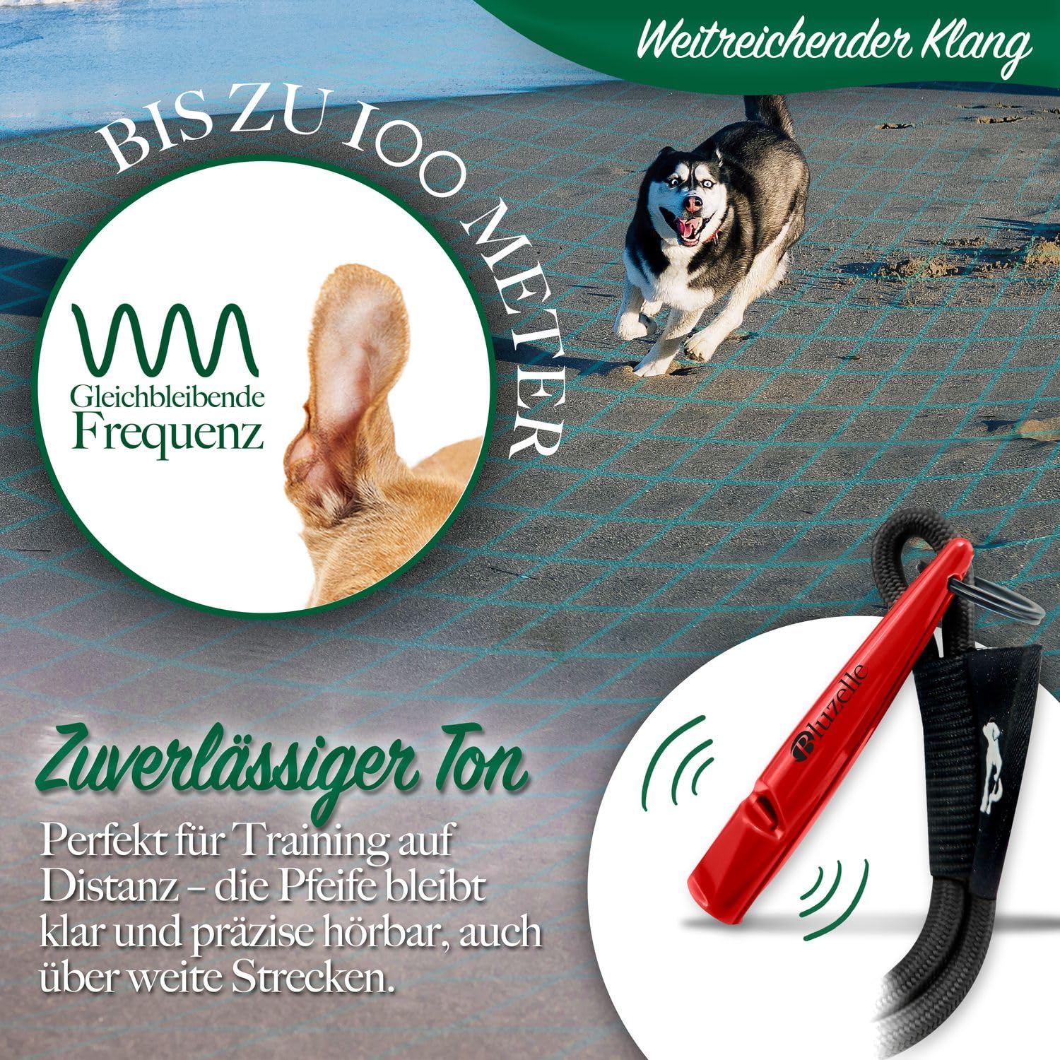 bluzelle Recall 5800 Professional Dog Whistle with Lanyard, BPA-Free Plastic Training Whistle - Image 3