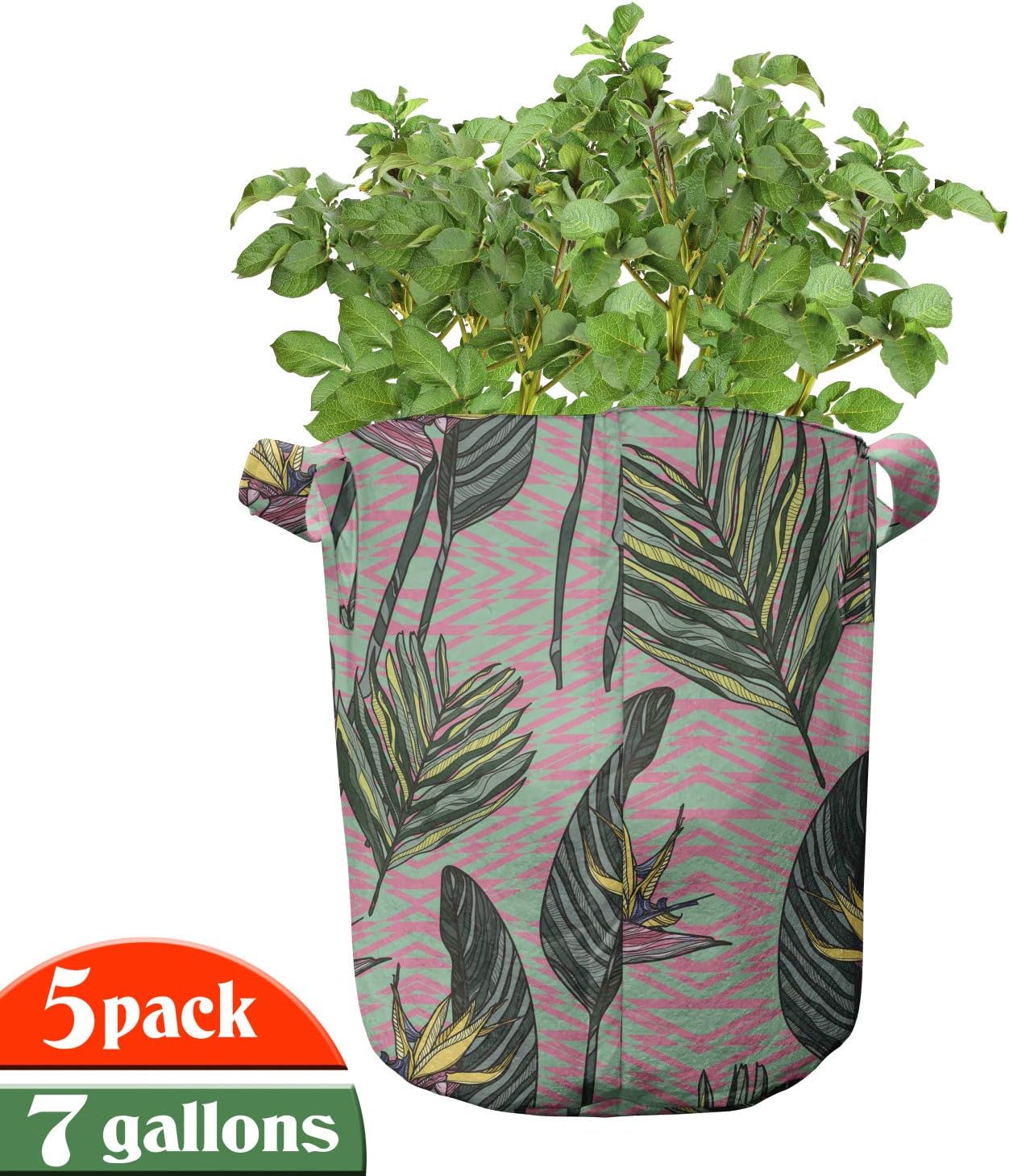 Ambesonne Tropical Grow Bags 5-Pack, Tropic Bird of Paradise, Heavyduty Fabric Pots with Handles for Plants, Pink Forest Green Seafoam