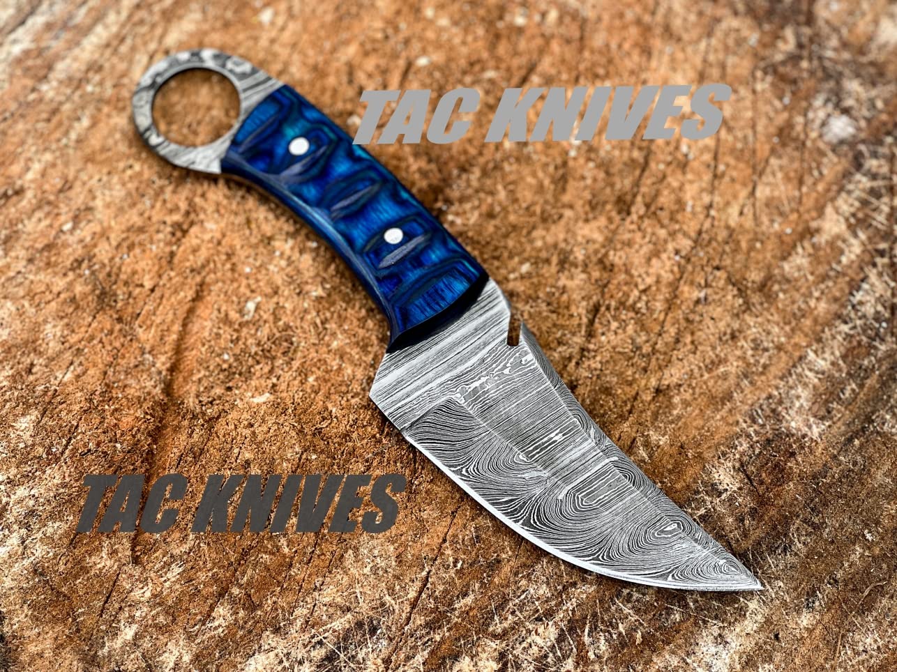 TAC Knives - Bushcraft Survival Knife12T27 Damascus Steel Fixed Blade outdoor - Pakka Wood Handle - Pancake Leather Sheath - Traditional Field for Camping , Fishing, Hunting Knife, Men & Women - EDC Knife to Carry on Belt- (BLUE)