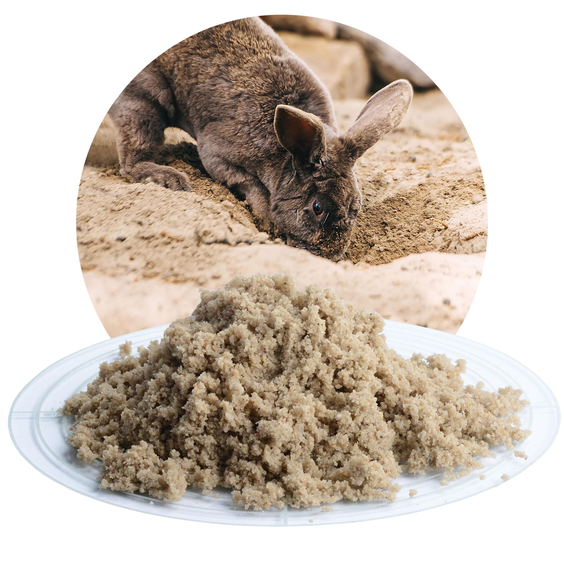 Schicker Mineral Kaninchen Buddelsand 25 kg, für Kaninchen & Hasen, kantengerundet für Sensible Pfoten, Naturprodukt aus Deutschland, lehmfrei, frei von Verunreinigungen & chemischen Zusätzen