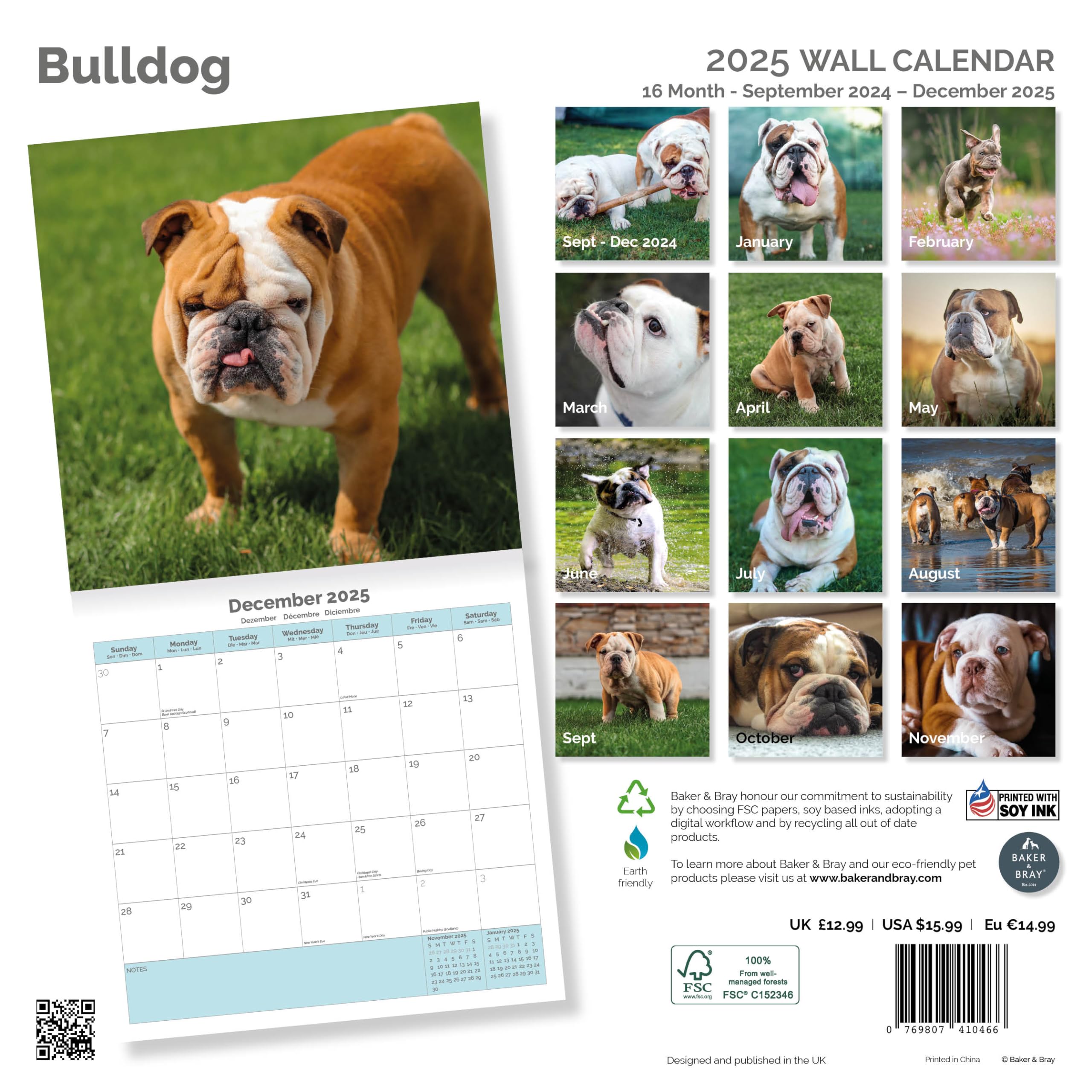 Baker and Bray Bulldog Calendar 2026, Large Square Wall Calendar With Organisational Stickers, 16 Month, Bulldog Gift Dog Calendar - Image 2