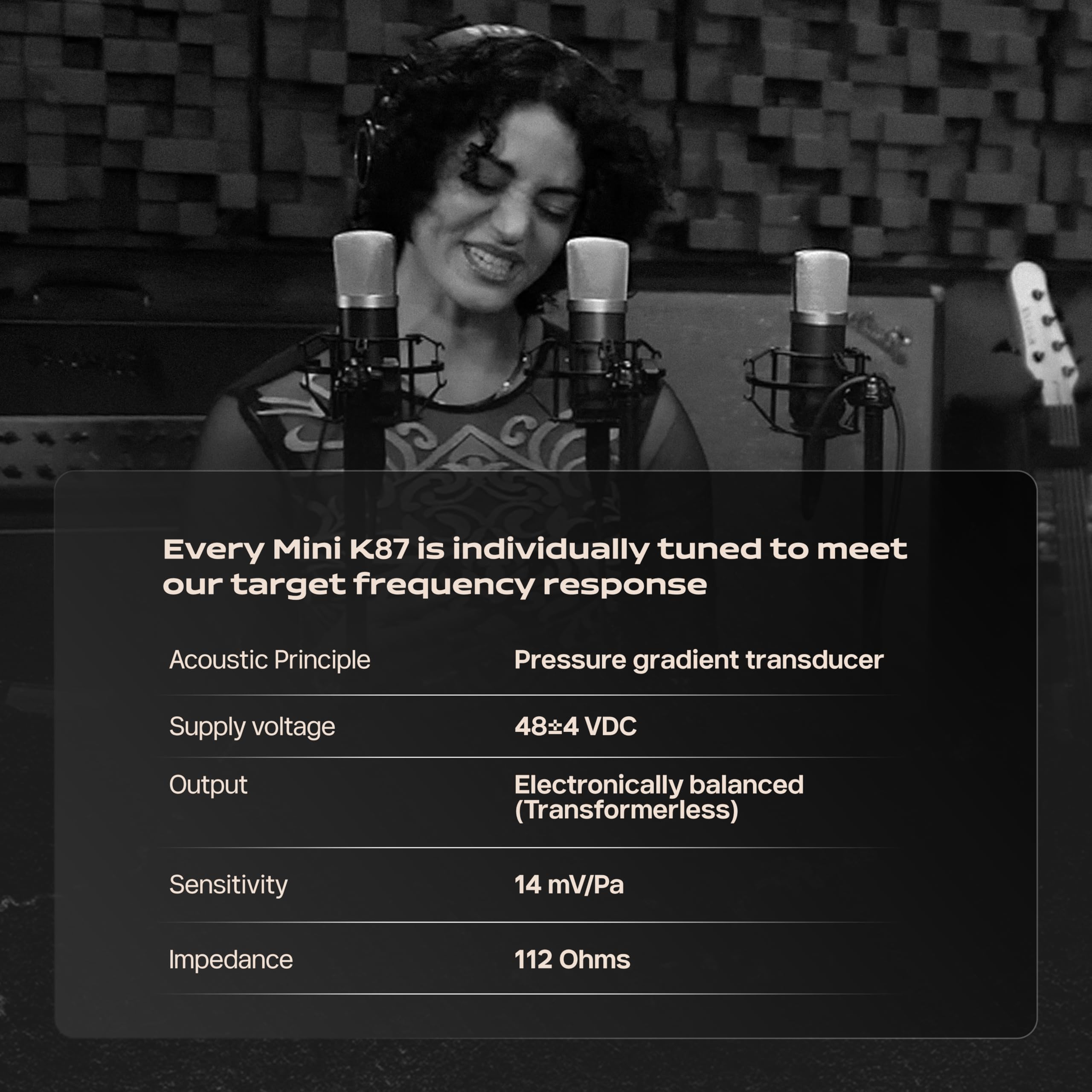 【超美品】Roswell mini K87 コンデンサーマイク Mini K87 Matched Pair – Roswell Pro Audio