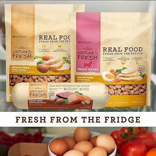 The 12 Best LowCalorie Dog Foods Update 2024