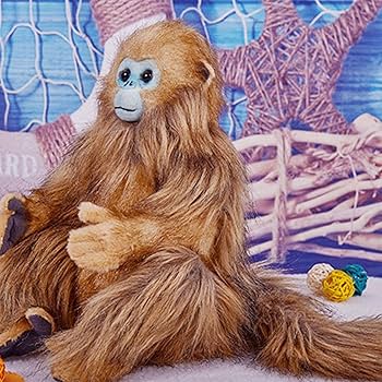 Amazon.co.jp: ぬいぐるみ キンシコウ 猿 リアル クッション