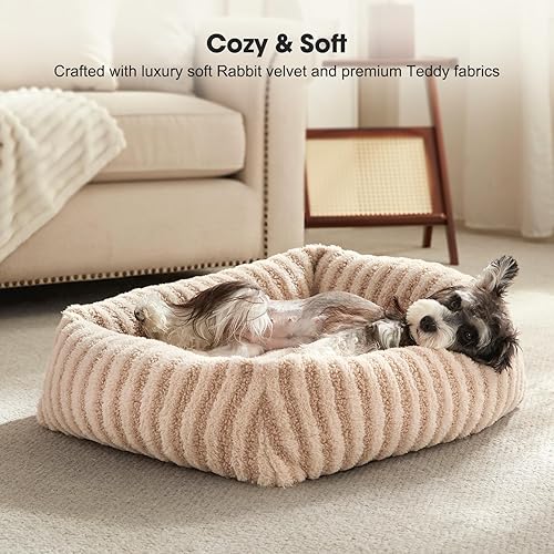 Miniatura 3 de MIXJOY Camas para perros pequeños y gatos, cama lavable para perros con funda extraíble, cama suave y relajante para gatos de interior, sofá cama