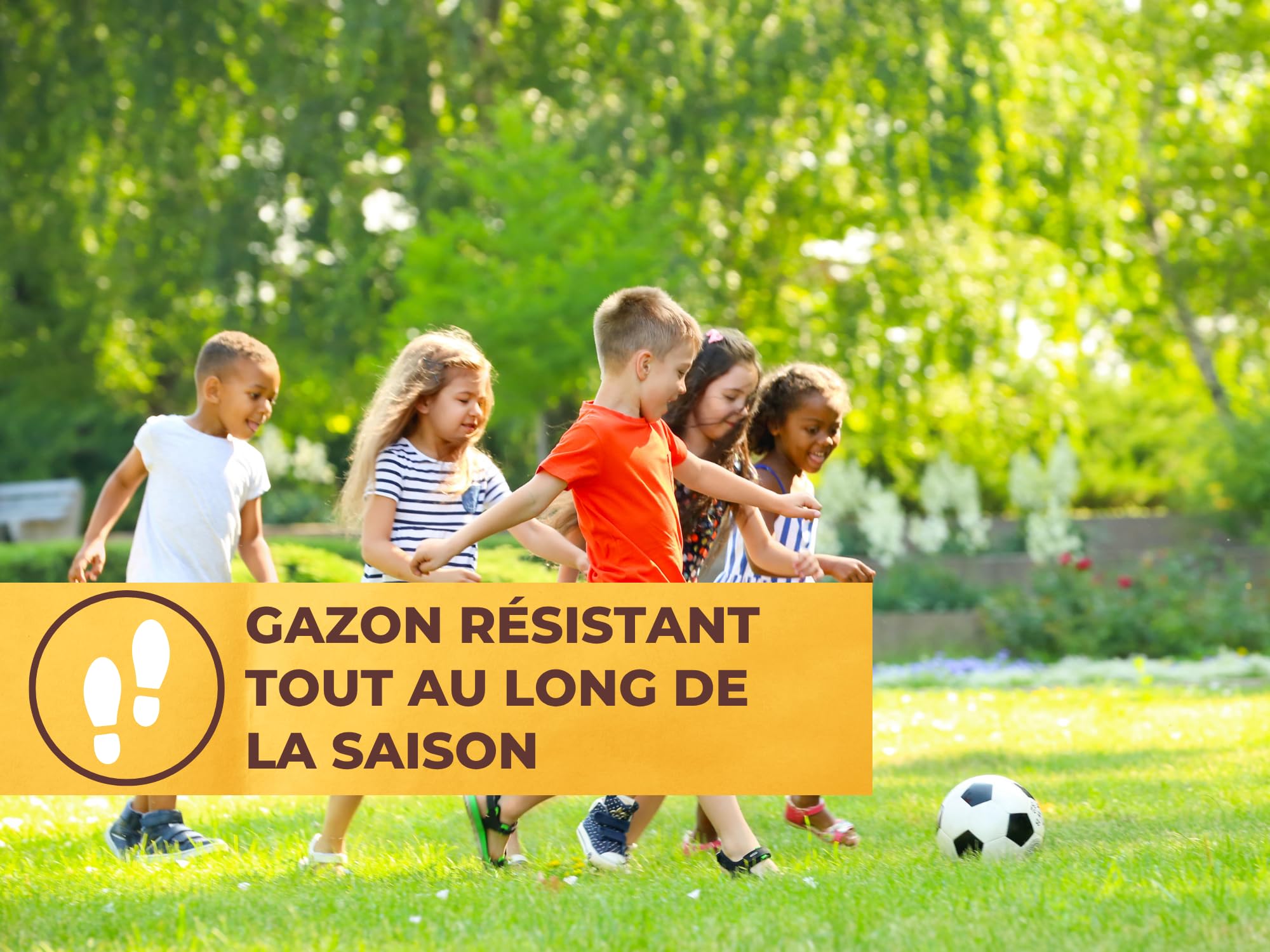 SOLABIOL Engrais Gazon Plus 15 kg Granulés Jusqu'à 375m² Nutrition Longue Durée