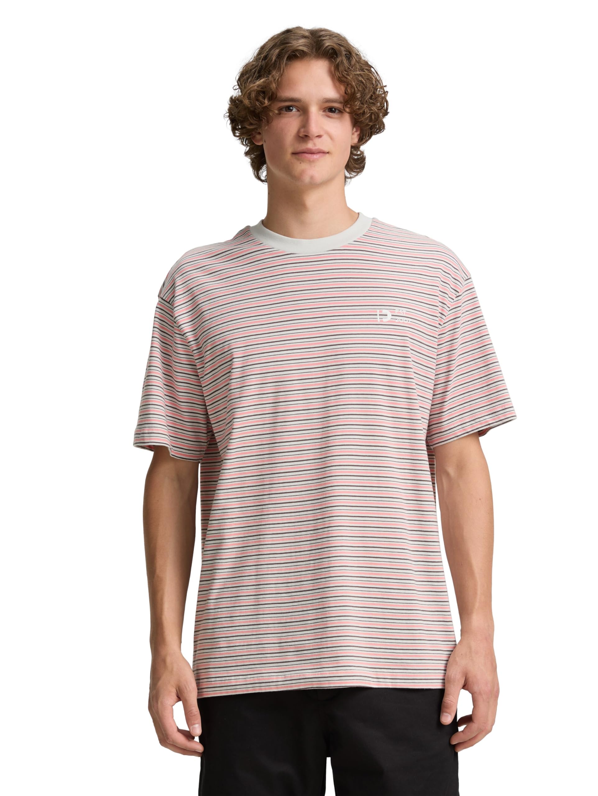 TOM TAILOR Denim Men's 1046119 T-Shirt, 38072-Grey Rose Yd Fine Stripe, S