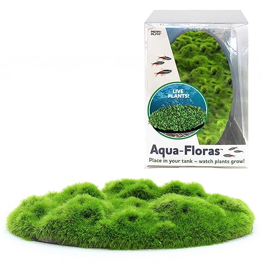 Penn-Plax Aqua-Flora Aquarium Living Resin Decoration with Embedded Glosso Plant Seeds – Moss Patch – Safe and Healthy for Freshwater Fish