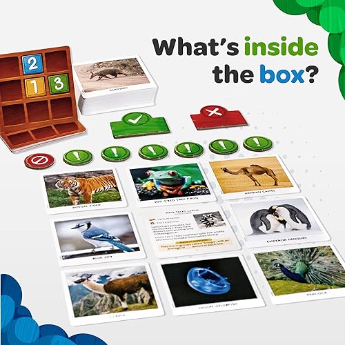Miniatura 2 de National Geographic - Secret Clue Animals  Juego de cartas familiar cooperativo para niños  Regalo para niños y niñas de 7, 8, 9, 10 años