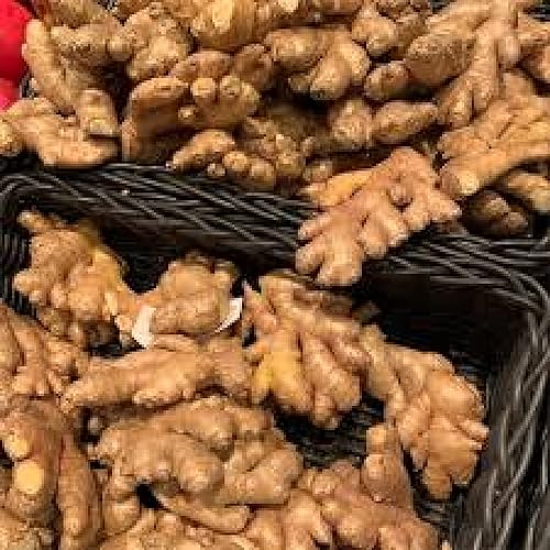 Miniatura 4 de Raíces de jengibre fresco orgánico de 1 libra Snow Hill de jengibre del Himalaya - Producto del Mt Everest Country Nepal - Entrega en 2-4 días en