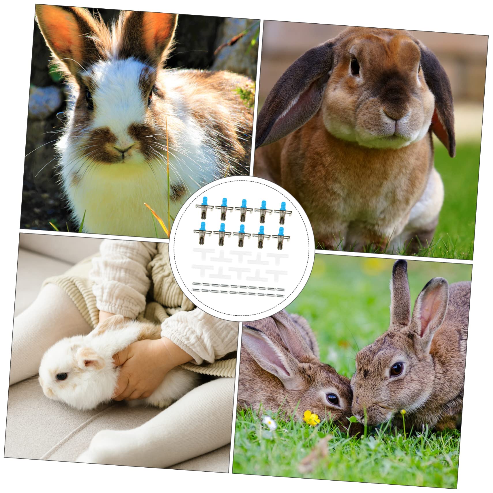 Angoily 30pezzi Erogatore Automatico Per Conigli Con Doppia Molla Abbeveratoio Per Piccoli Animali Design Resistente e Facile Da Installare Per Conigli Furetti e Chinchilla
