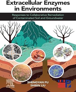 Extracellular Enzymes in Environments: Responses to Collaborative Remediation of Contaminated Soil and Groundwater