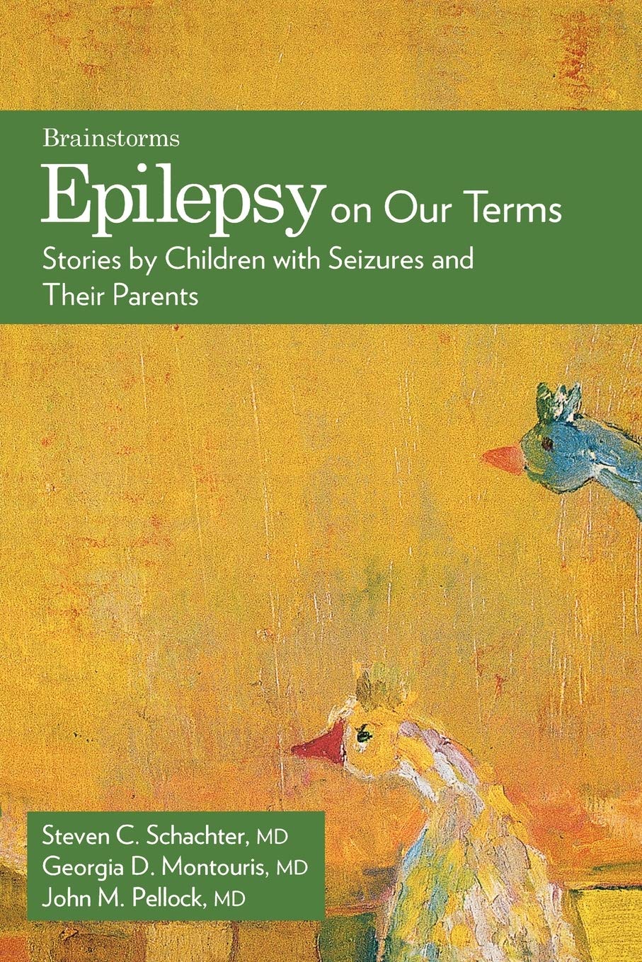Epilepsy on Our Terms: Stories by Children with Seizures and Their Parents (The Brainstorms Series)