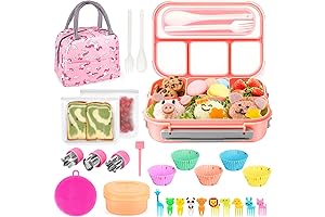 Functional Kids Lunch Box Set: A Comprehensive Kit for Healthy Meals on the Go