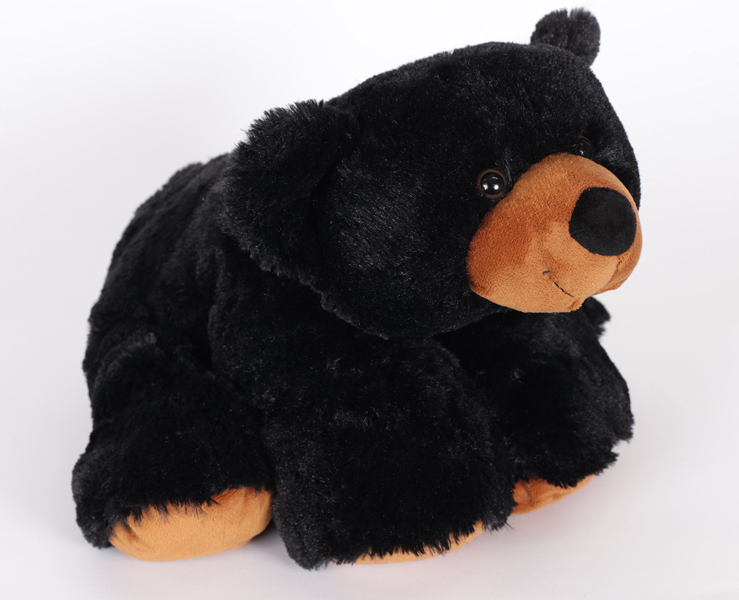 wishpets bear
