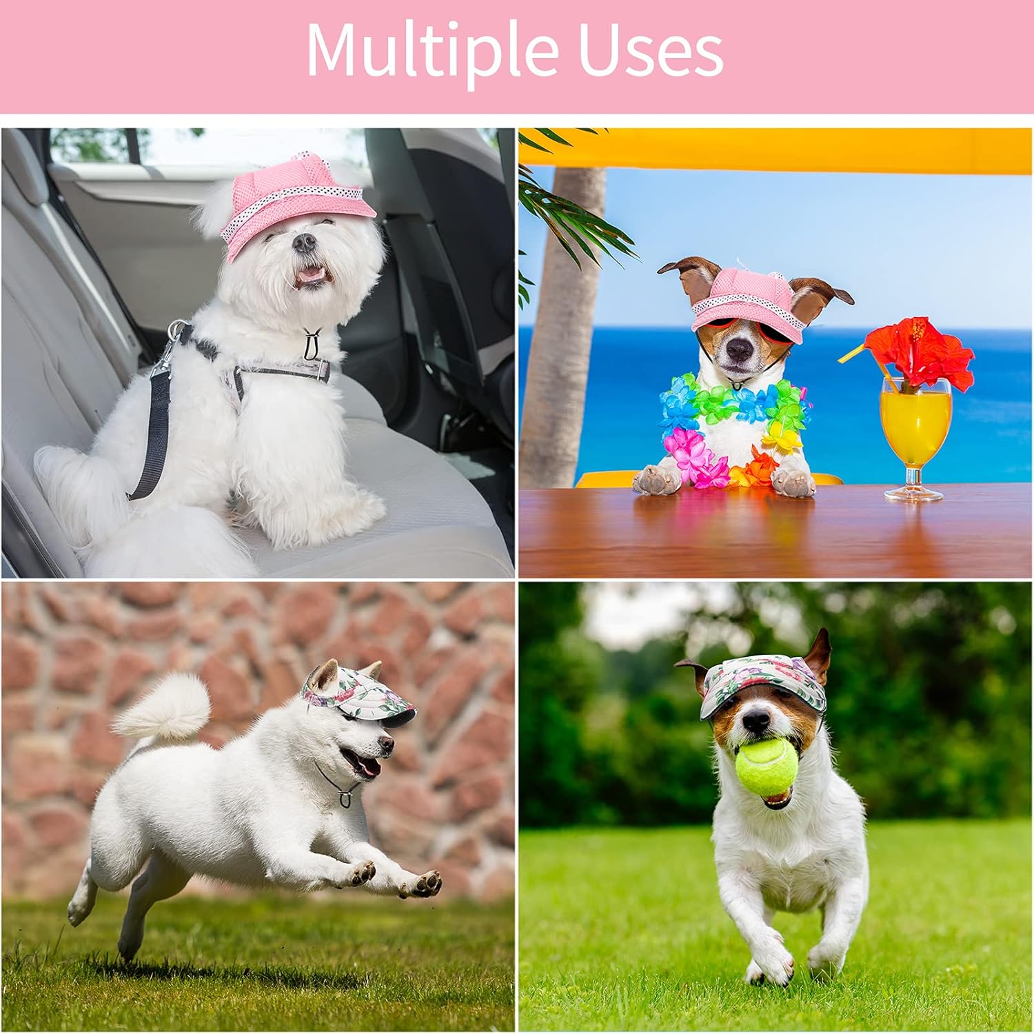 2 Pieces Dog Baseball Caps Pet Round Brim Princess Cap Visor Hats Pet Outdoor Sports Hats with Ear Holes Pet Dog Mesh Porous Cap Pet Baseball Caps with Adjustable Chin Strap for Small Dogs : Pet Supplies