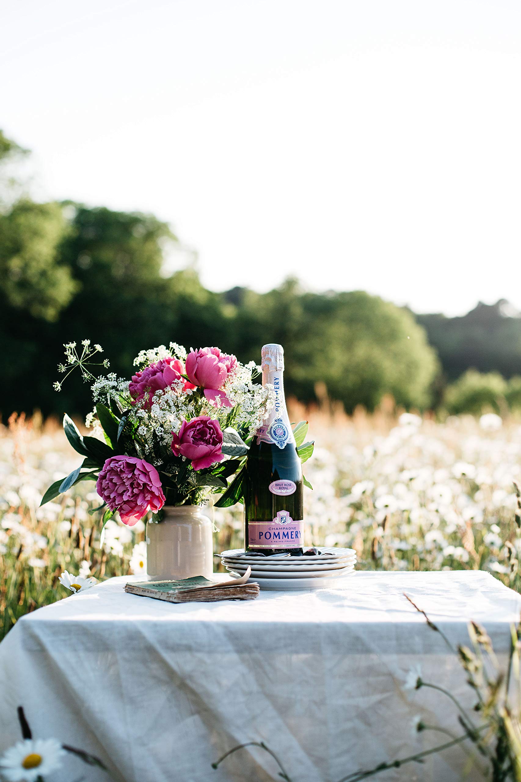 Pommery France Champagne Rosé Brut 75 cl - Livré Frais