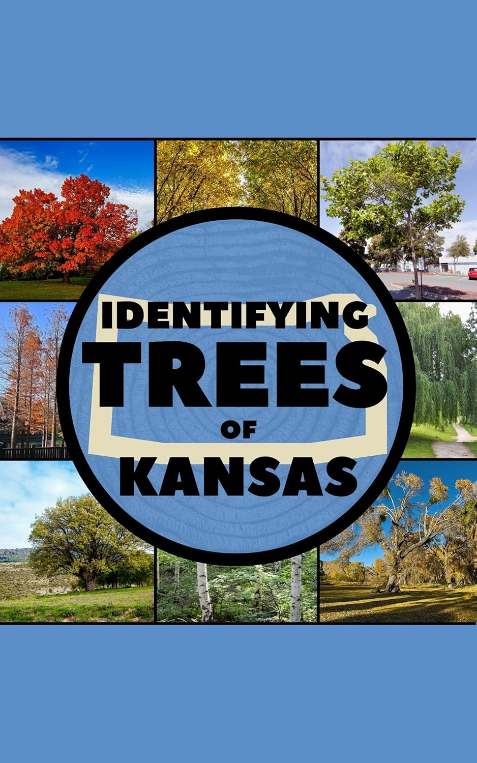 Identifying Trees of Kansas A Simple Identification Guide Book To