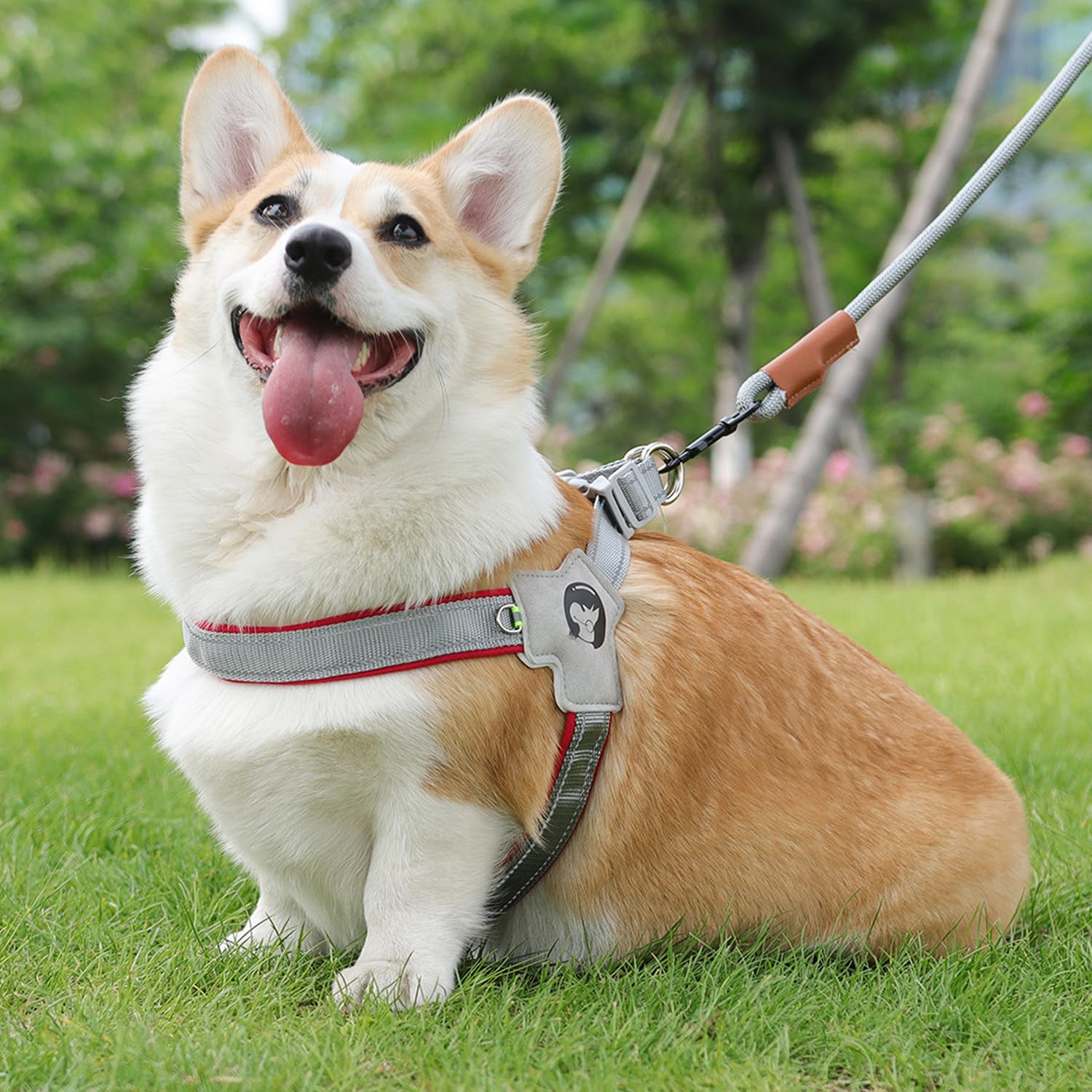MeiAOBest No Pull Dog Harness,Step in Dog Harness Vest with Reflective Stripe,Breathable Mesh Padded Pet Y-Harness for Small Medium Dogs_L(Red) - Image 3