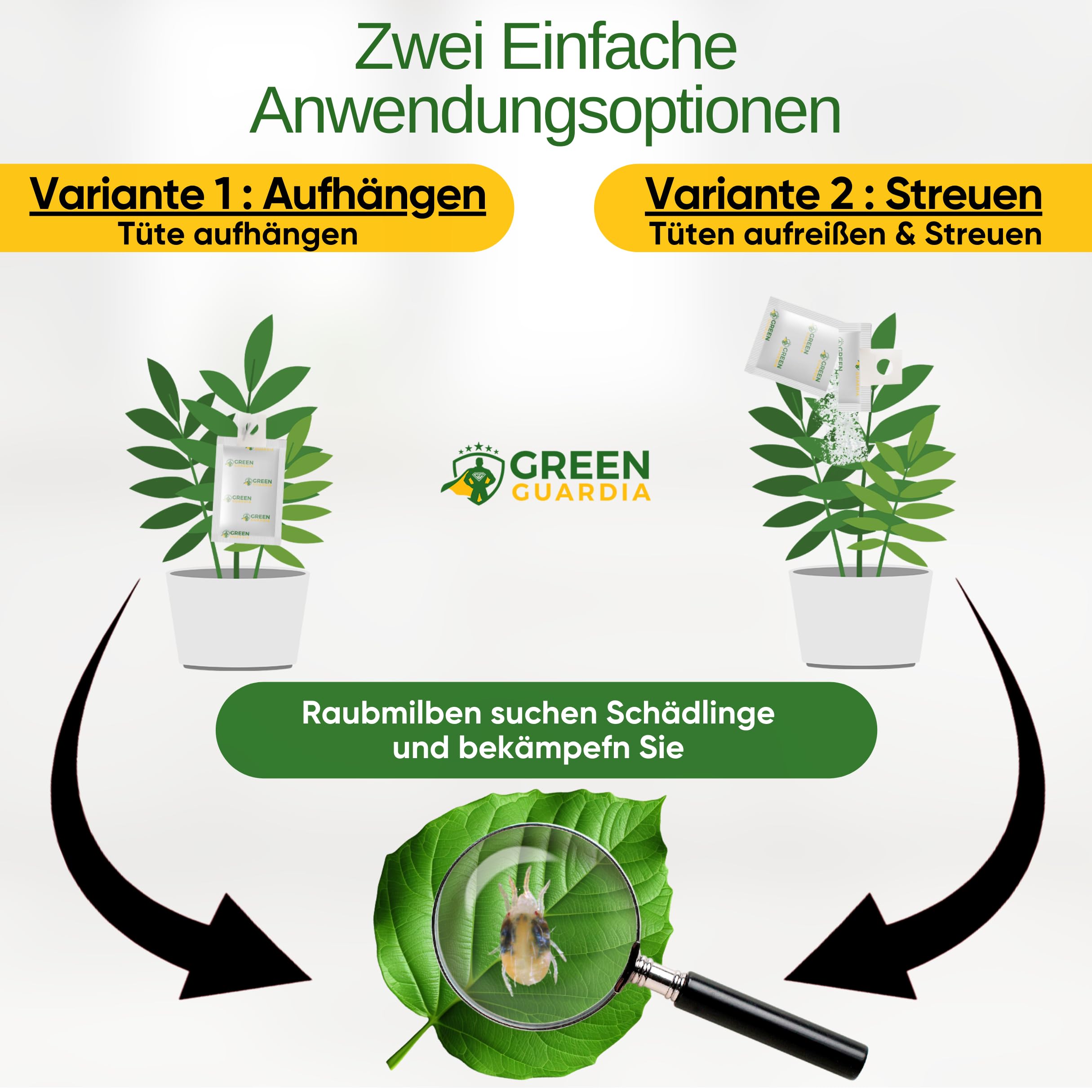 GREEN GUARDIA Power drapieżne roztocza na przędziorkowate – 25 torebek – biologiczny środek do skutecznego zwalczania przędziorków dla roślin pokojowych i ozdobnych oraz konopi. – przyjazny dla