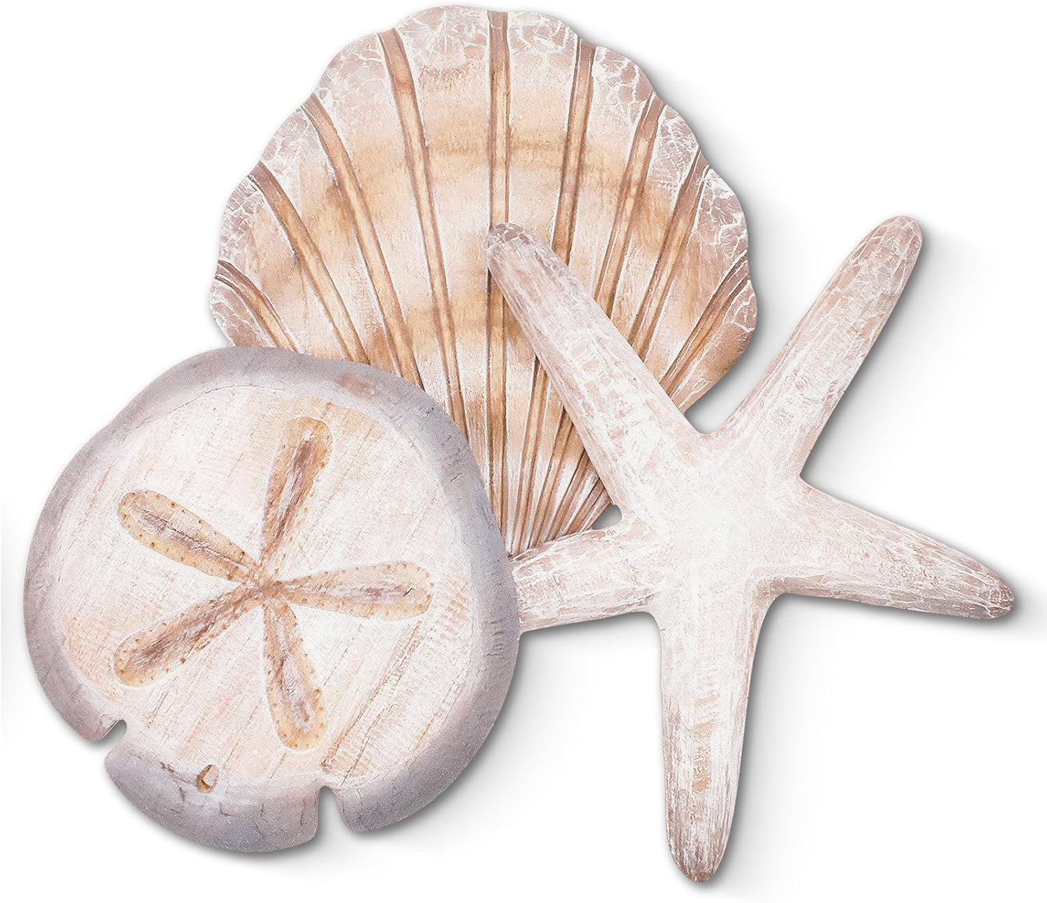 Novabright Coastal Sea Shell Wall Art Wood Starfish Sand Dollar, Brown