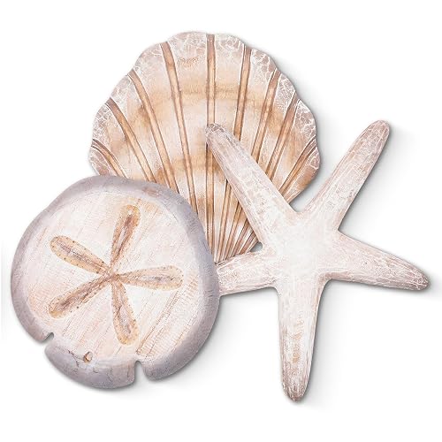 Novabright Coastal Sea Shell Wall Art Wooden Beach Starfish Sand