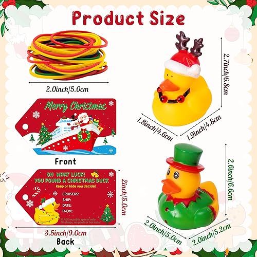 H1vojoxo Christmas Rubber Ducks Bulk - 20 Set Christmas Rubber Ducks for Cruise Ships Novelty Turkey Floating Duckies for Party Decoration, Xmas Stocking Stuffers, Gift Exchange, Baby Shower Bath Toys