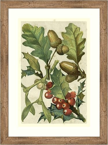 Miniatura 17 de Amanti Art Lienzo decorativo para pared enmarcado de 44 x 32 pulgadas, frutas y follaje II por Vision Studio, arte de pared de naturaleza, Búho