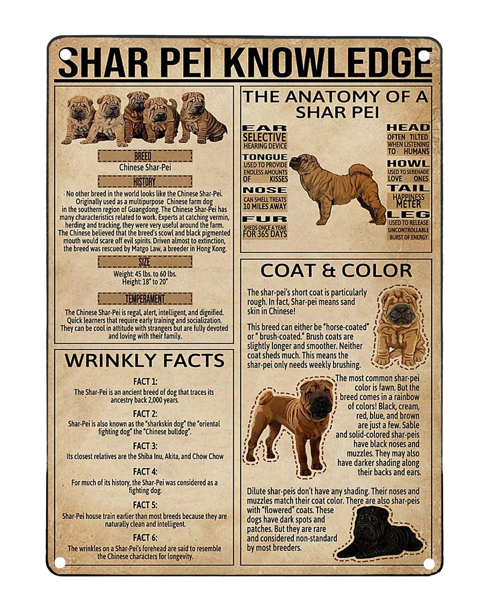 rayprint Shar Pei Knowledge Metal Sign Vintage Home Decor Shar Pei Encyclopedia Infographic Posters Forroom Schooling Wall Decor Plaque 12x16 Inches
