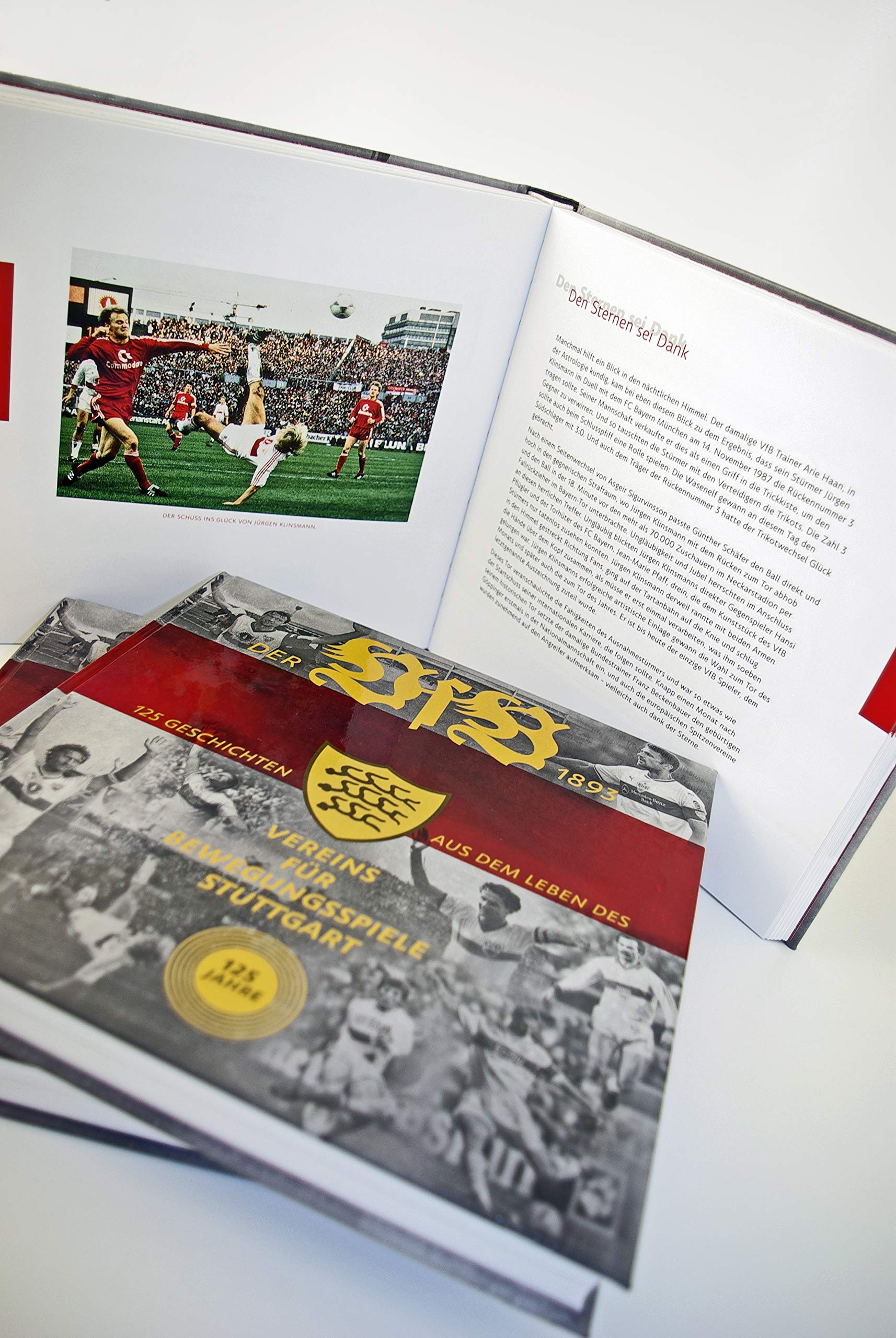 Der VfB 1893: 125 Geschichten aus dem Leben des Vereins für Bewegungsspiele Stuttgart