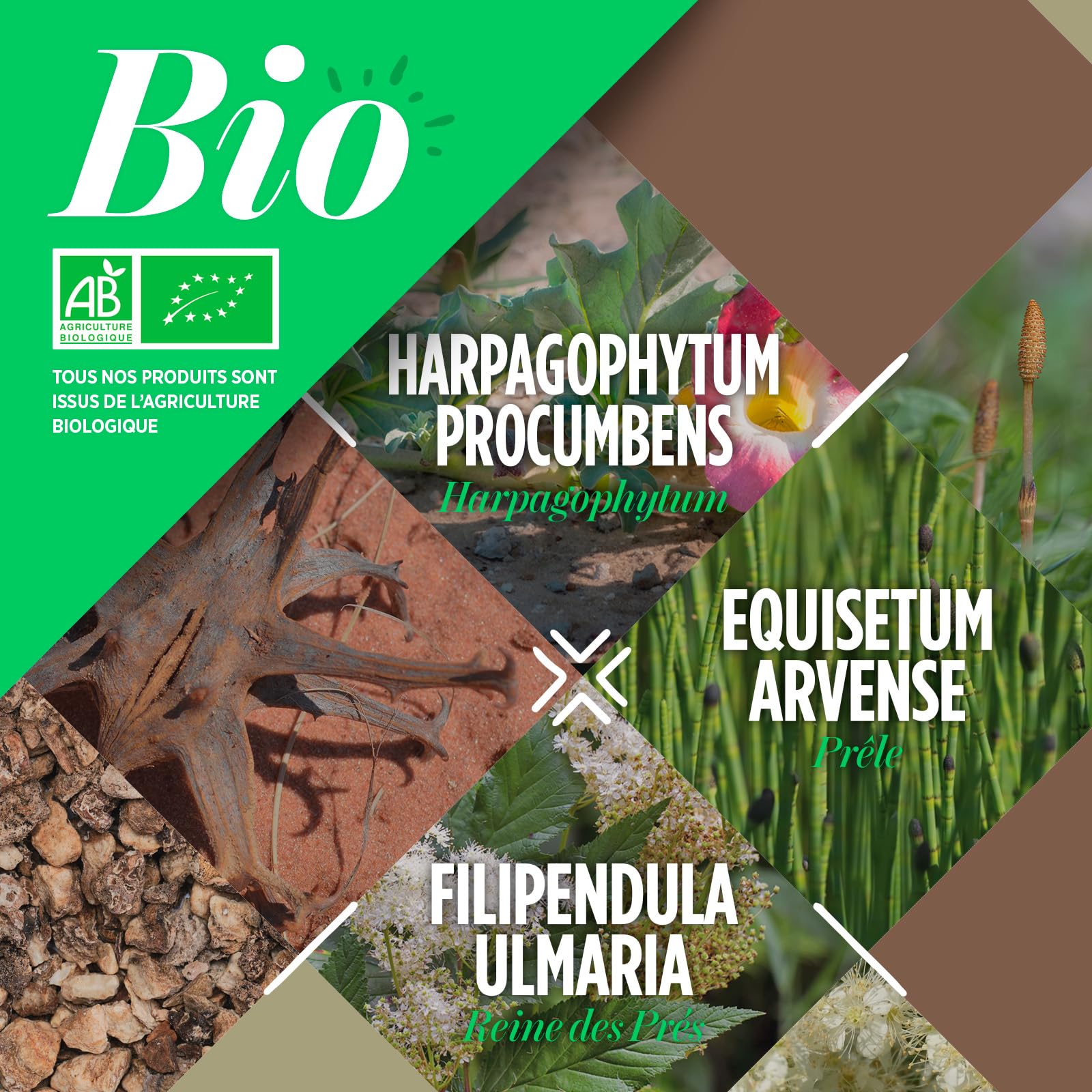 Articulation Bio 400 mg – 200 Comprimés - Prêle, Reine des Prés et Harpagophytum - Maintenir la Santé Articulaire.