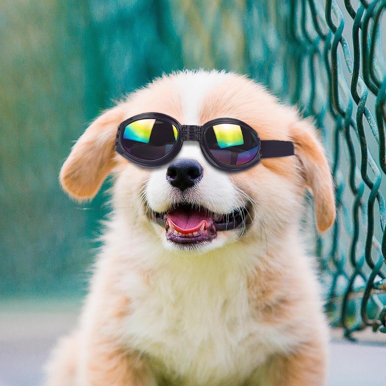 Occhiali da sole per cani - Occhiali per animali domestici da 4,72 pollici Protezione UV Cinturino regolabile | Dog Eye Wear - Ochiali per animali domestici elastici e comodi per l'uso in viaggio con